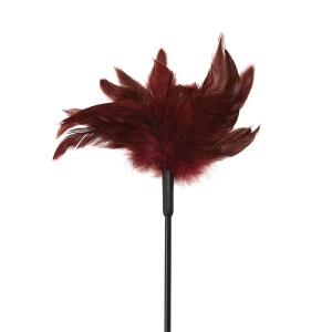 S&m Enchanted Feather Tickler