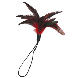 Sportsheets Pleasure Feather Red