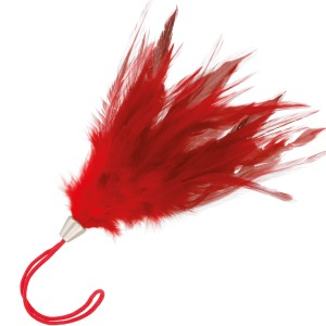 Darkness Red Stimulating Pen 17cm
