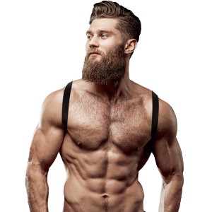 Fetish Submissive Attitude Mens Eco-leather Back Harness