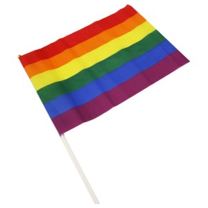 Pride Lgbt Flag Large Pennant