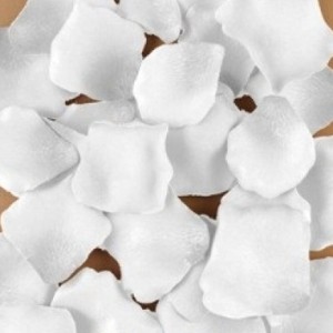 Diablo Picante 100 White Petals