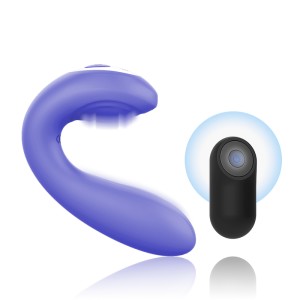 Mr Boss Josef Pulsation & Vibration Remote Control For Couples