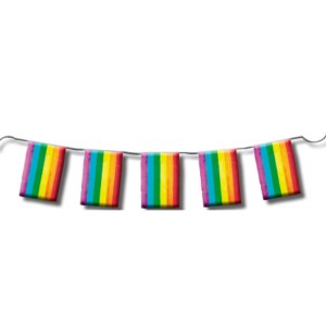 Pride Lgbt Flag Strip 10 Meters.