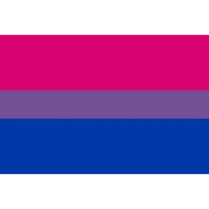 Pride Bisexual Flag Bracelet 90 X 150