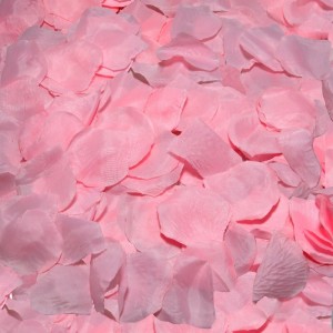 Spicy Devil 100 Pink Petals