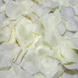 Spicy Devil 100 Vanilla Petals