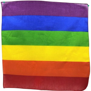 Pride Lgbt Scarf 50 X 50