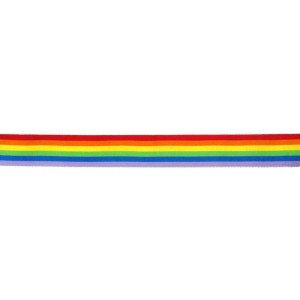 Pride Lgbt Flag Strip