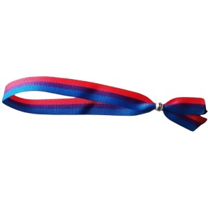 Pride Bisexual Bracelet