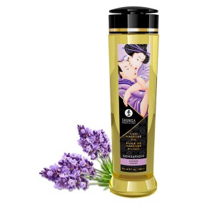 Shunga Sensation Erotic Massage Oil 240 Ml