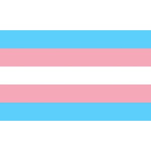 Pride Transexual Flag 90 X 150
