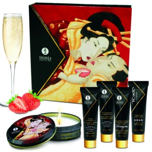 Shunga Secret Geisha Strawberries And Cava Kit