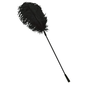 Black Feather Bad Kitty
