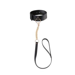 Maze Collar With Leash