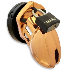 Cb-6000s Gold Chastity Cage