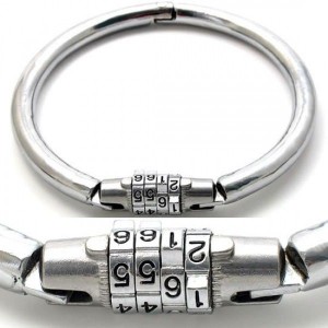 Round Metal Collar With Combination Lock