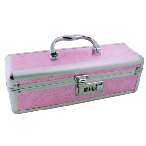 Vibrator Case Lockable Pink