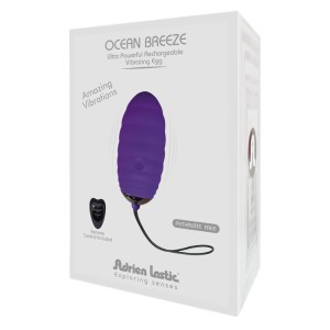 Vibrating Egg Ocean Breeze + Mini Control Lrs