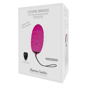 Vibrating Egg Ocean Breeze + Mini Control Lrs