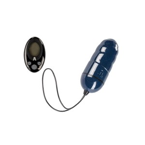 Vibrating Egg Ocean Storm + Control Lrs