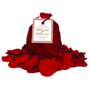 Rose Petals Trail Of Roses