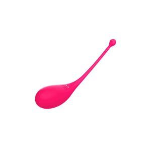 Vibrating Egg With App Palpitation Usb