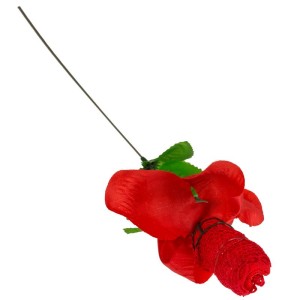 Rose With Red G-string