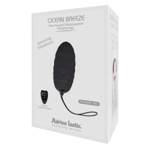 Vibrating Egg Ocean Breeze + Mini Control Lrs