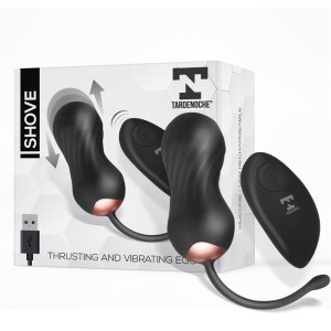Shove Thrusting And Vibrating Egg With Remote Control