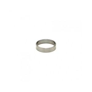Rimba Stainless Steel. Solid Cockring. 1 Cm. Wide