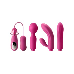 Dorr Mystic 4 Exchangeable Head Vibrator