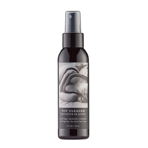 Toy Cleaner 4 Fl Oz / 118 Ml