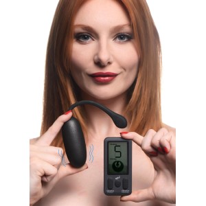 25x Platinum Series Plush Egg With Digital Remote Control