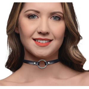 Lush Pet Silver Ring Slim Choker