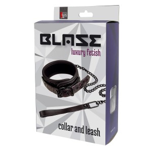 Blaze Collar And Leash Purple