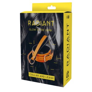 Radiant Collar And Leash Glow In The Dark Orange
