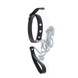 Gp Collar & Leash