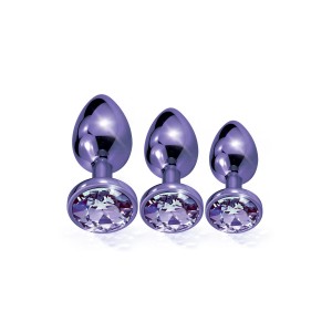 Nixie Metal Butt Plug trainer set, Purple Metallic