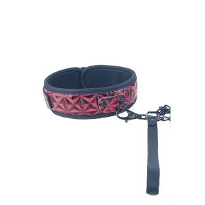 Btb Fetish Collar With Leash Red