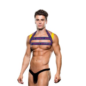 Envy Logo Harness Blue Yellow, L/xl