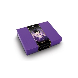 Shunga Naughtier Kit