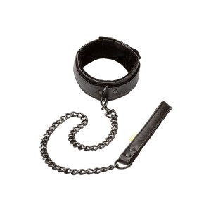 Boundless Collar And Leash