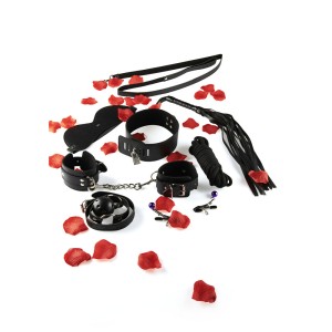 Toyjoy Bdsm Starter Kit