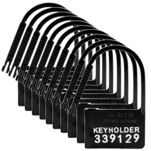 Master Series 10 Pack Of Locks For Chastity Devices