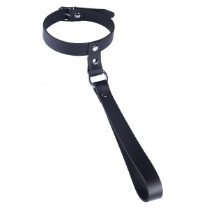 The Red Leather Collar With Short Leash