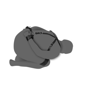 Body Harness With High And Hand Cuffs